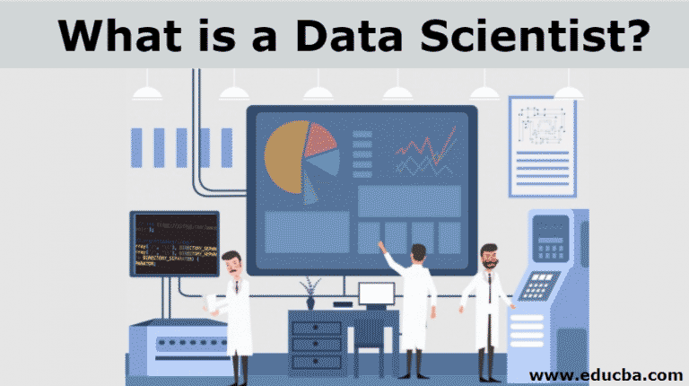 Data Scientist Role